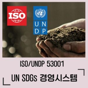 ISO UNDP 53001 SDGs 경영시스템 심사원 교육과정