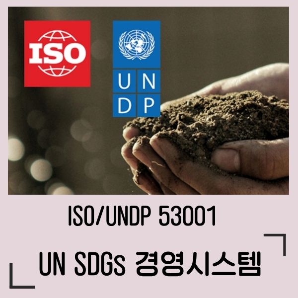 ISO UNDP 53001 SDGs 경영시스템 심사원 교육과정